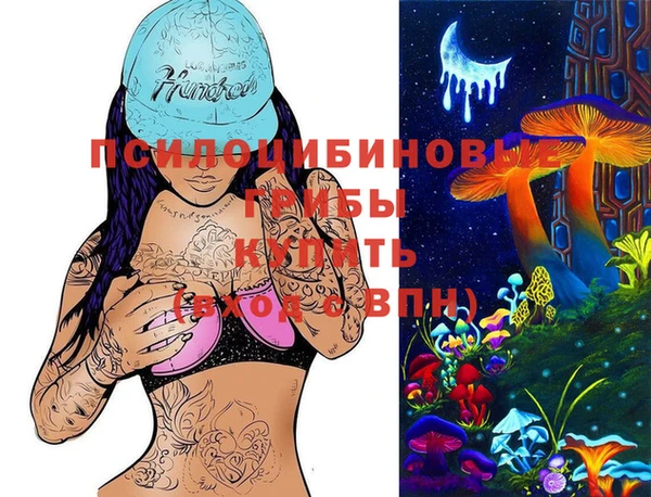 соль ск Алексин