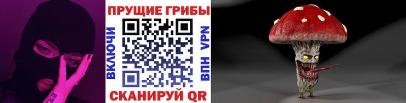 Галлюциногенные грибы Magic Shrooms  Катав-Ивановск 
